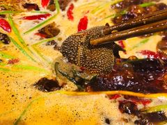 毛肚-青年火锅(吾悦广场直营店)