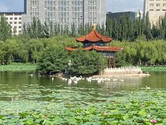 -青城公园