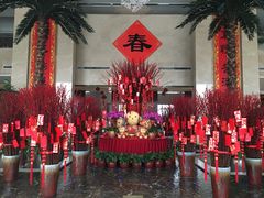 -常州环球恐龙城维景国际大酒店