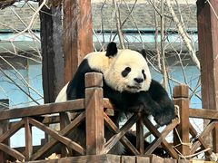 -临沂动植物园