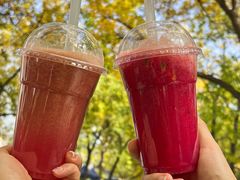 -三里屯东五街银杏大道