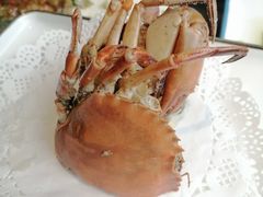 -鑫悦楼煎蟹·16年海鲜大排档