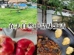 -桃源山庄·水蜜桃采摘·柴火鸡·烧烤团建(龙泉山店)
