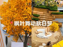 -石家庄万象城