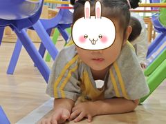 -金点蒙氏国际教育(悠然校区)