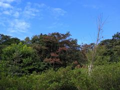 -广州市石门国家森林公园