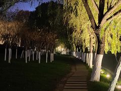 -天鹅湖体育公园