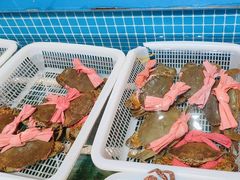 -阿伟海鲜楼·福建菜(涵江店)
