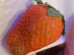 -半岛听涛蒸汽海鲜自助(K11店)