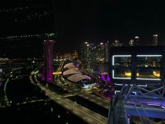 -新加坡摩天观景轮