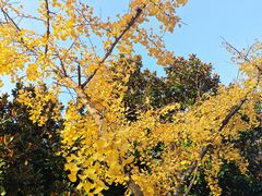 -幕燕滨江·长江观音景区