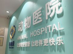 -美迦爱-动物医院·骨科·牙科·夜诊(朝阳路诊疗中心)