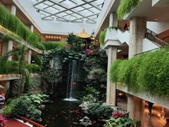 -白天鹅宾馆-宏图府餐厅