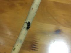 -面包新语(无锡M会员店)