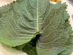 -揽月斋炙子烤肉·清真(安定门·五道营店)