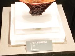-温州博物馆