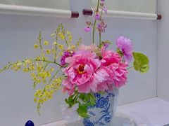 -上海辰山植物园