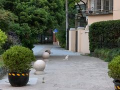 -吉友粥底火锅(方斜路店)