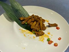 -梧桐
