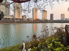 -志明眷村·台式融合菜·宵夜