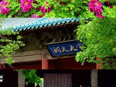 -窦大夫祠