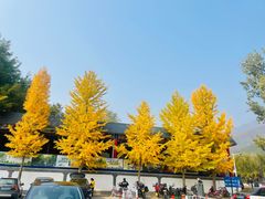 -红螺寺