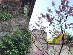 -乌山风景区