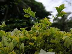 -三亚蜈支洲岛旅游区