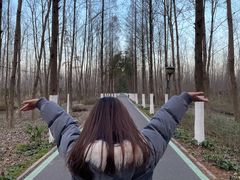 -合肥滨湖国家森林公园