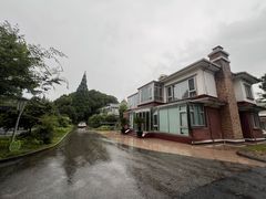 -华西村