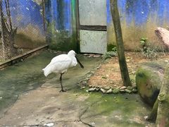 -杭州野生动物世界
