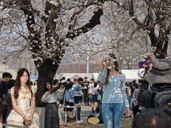 -吉林大学(南岭校区)