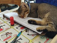 -甲米射击场KRABI SHOOTING RANGE