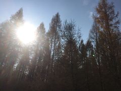 -塞罕坝国家级自然保护区