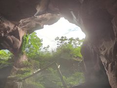 -蛇蟠岛