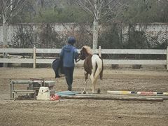 -北京群众马术培训基地