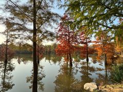 -上海长兴岛郊野公园