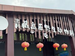 -青藏高原野生动物园