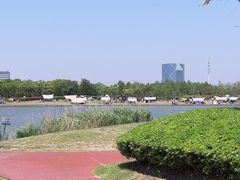 -春花秋色城市公园