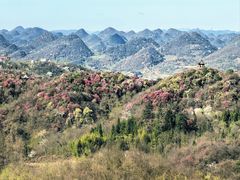 -贵州百里杜鹃风景名胜区