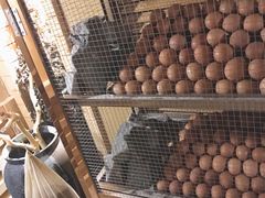 -汤森悠生活文化汤(江宁万达店)