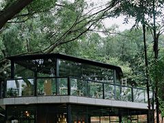 -南国桃园旅游度假区