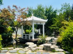 -绿色菜园·农家土菜(贤山店)