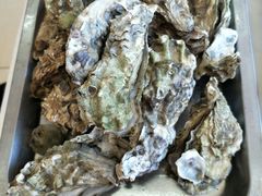 -渔民船说·北塘海鲜·天津菜·海肠捞饭(北塘古镇店)