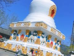 -护国法轮寺
