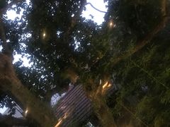 -穹六人间 people 6(岳阳路店)