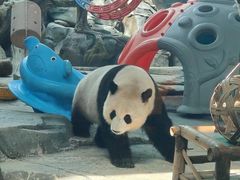 -武汉动物园