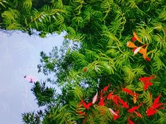 -东山雕花楼