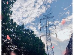 -福田红树林生态公园