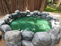 -厦门日月谷温泉渡假村